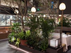 -桂满陇·海市蜃楼·黑金(国金店)