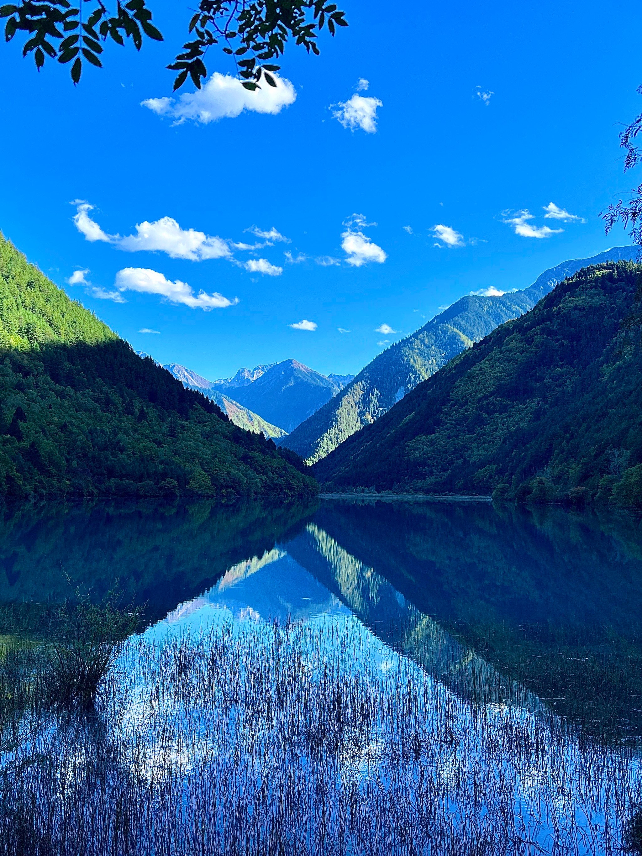 成都出发一个半小时直达九寨沟风景区!