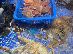 -高佳庄·舟山海鲜(海景旗舰店)