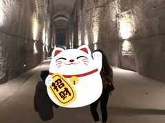 -816工程景区