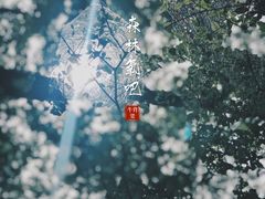 -牛背梁国家森林公园