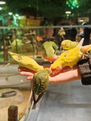 -酷嗒动物文化乐园(cutezoo西溪乐天城店)