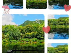 -深圳市中科院仙湖植物园