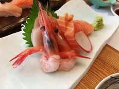 -金井日本料理(丽柏广场店)