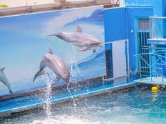 -秦皇岛新澳海底世界