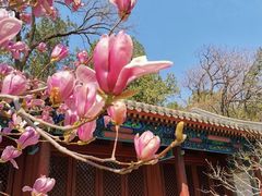 -国家植物园