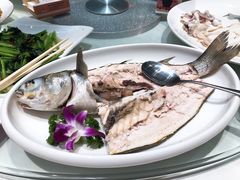 -金鹰潮汕鱼仔店(金鹰大厦店)