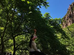 -京东石林峡风景区