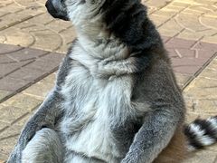 -石家庄市动物园