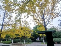 -杭州城北体育公园
