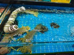 -醉壹号海鲜大排档·老厦门特色菜(厦门美食地标店)