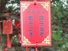-罗田天堂寨风景区