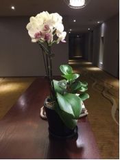 -雅戈尔富宫大酒店(观前街店)