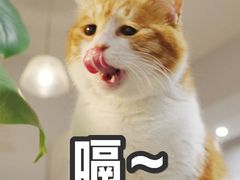 -东园小馆·早茶·淮扬小炒(印象汇店)