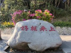 -普陀山风景区-佛顶山