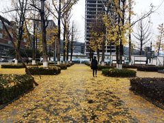 -百林公园-两江幸福广场
