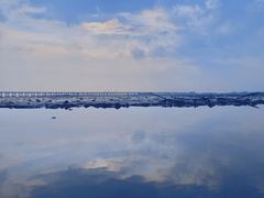 -宝安西湾红树林湿地公园