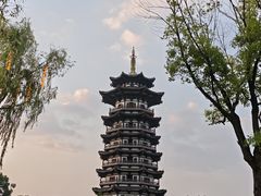 -洋湖国家湿地公园