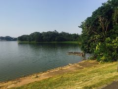 -仙湖旅游度假区