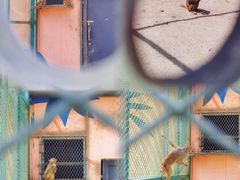 -水上乐园·欢乐世界