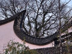 -西湖公园(鼓楼区)