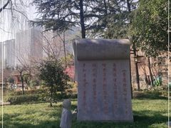 -木塔寺遗址生态公园