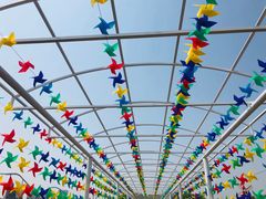 -雪浪山卡丁车俱乐部