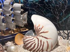 -海合安青岛极地海洋公园