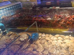 -锅儿欢海鲜火锅烤肉自助餐(东港凯虹店)