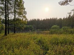 -黄海国家森林公园