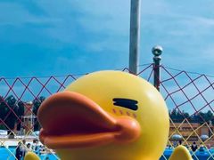 -上海玛雅海滩水公园