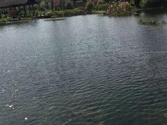 -贵阳市花溪国家城市湿地公园
