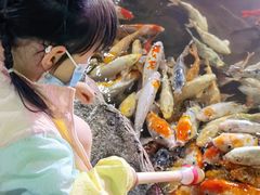 -泉城欧乐堡海洋极地世界