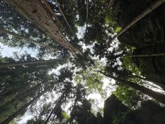 -梭布垭石林景区