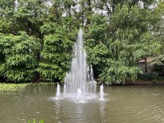 -上海共青森林公园