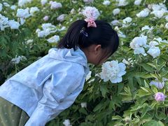 -洛阳市隋唐城遗址植物园