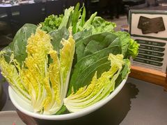 蔬菜拼牌-官也街澳门火锅(新源里店)