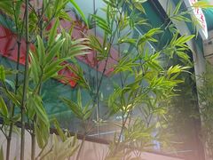 -蛙小侠(五象万象汇店)