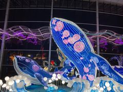 -海合安成都极地海洋公园