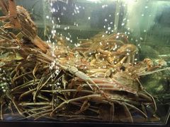 -蟹之国·精品蟹料理(极地店)