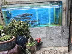 -又见炊烟私房菜(敬亭路店)