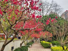 -西湖公园(鼓楼区)