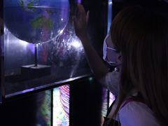 -同济大学四平路校区深海探索馆
