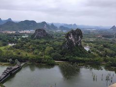 -南宁花花大世界景区