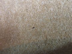 -半岛星际酒店(义乌国际商贸城店)