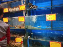 水产区-蚝专家(北滘店)