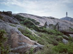 -洋山深水港