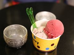 -莓园冰淇淋店