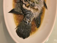 -骏莱海鲜鱼港(五角场店)