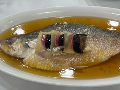 鸡汁花雕火腿蒸鲥鱼-瑞福园联谊餐室(茂名南路店)